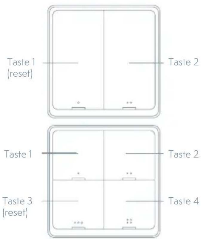 TESLA Smart Switch Dual Battery - Verbindung und Betrieb - 1