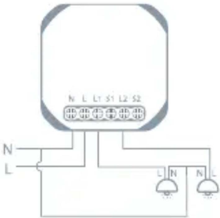 TESLA Smart Switch Module Dual - Schemat połączeń 1 - 1
