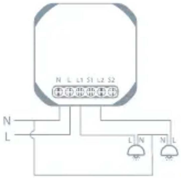 TESLA Smart Switch Module Dual - Anschlussplan 1 - 1