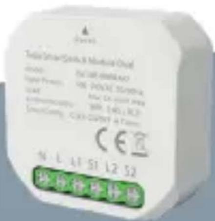 TESLA Smart Switch Module Dual - Produzent - 2