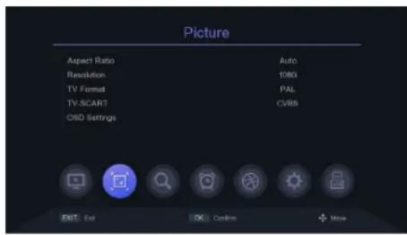 Picture Aspect Ratio Auto Resolution 1080 TV Format PAL TV-SCART CVBS OSD Settings EXIT: Exit OK: Closed + More