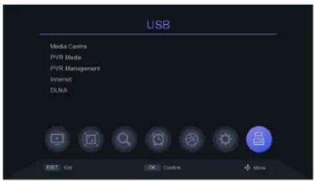 USB Media Centre PVIR Media PVIR Management Internet DLNA EBT Exit OK Custom + None