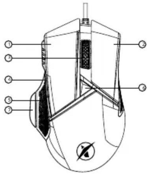Niceboy ORYX M410 Gravity - ÜBERSICHT ÜBER DIE ANORDNUNG - 1