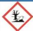 Zipper ZI-RPE125 - Changing the engine oil - 2