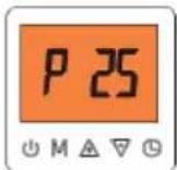 GRUNDIG GHP MM8 - P25 diagnosis and analysis - 1
