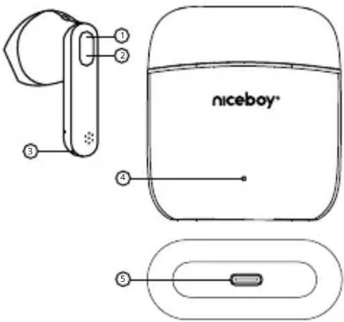 Niceboy HIVE Beans - PIERWSZE URUCHOMIENIE I PARWANIE - 1