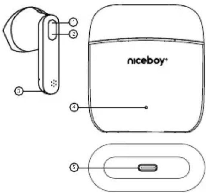 Niceboy HIVE Beans - PRVI VKLOP IN SEZNANJANJE - 1