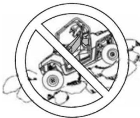 POLARIS RZR 170 (2016) - Operating Improperly in Reverse - 1