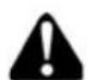 POLARIS RZR 170 (2016) - Spark Plug Spark Plug Gap/Torque - 1