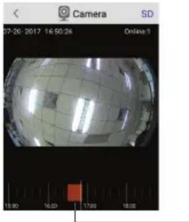 ACME IP1202 - Istoricul înregistrărilor - 3