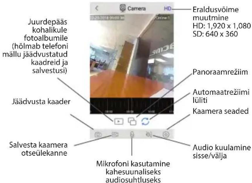 ACME IP1202 - Kameras tiešraide - 1
