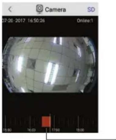 ACME IP1202 - Излъчване на живо от камерата - 4