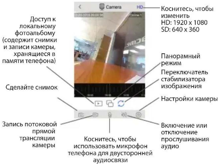 ACME IP1202 - Потоковая прямая трансляции камеры - 1