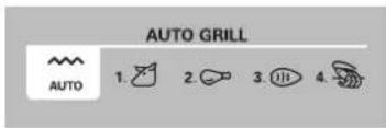 AUTO GRILL AUTO 1. 2. 3. 4.