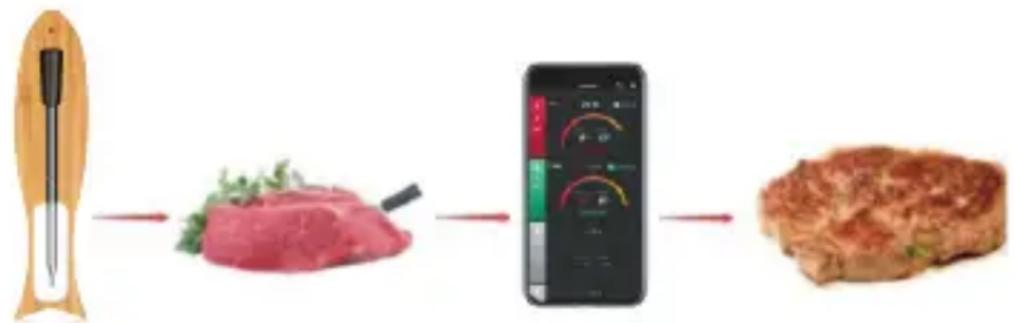 TESLA Cook BBQ100 - STÁHNĚTE SI APLIKACI - 1