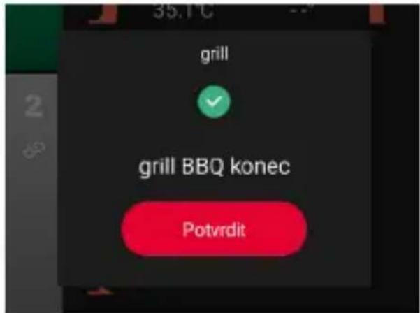 TESLA Cook BBQ100 - UPOZORNĚNÍ - 6
