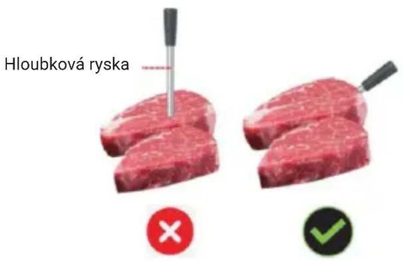 TESLA Cook BBQ100 - UPOZORNĚNÍ - 1