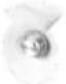 Eta Gustus Gulliver III 3128 90010 - EKOLOGIA - 15
