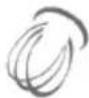 Eta Gustus Gulliver III 3128 90010 - A) Schlagen - 1