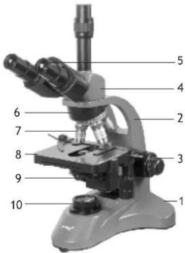 Levenhuk 700M - Levenhuk 700 Series Biological Microscopes - 2