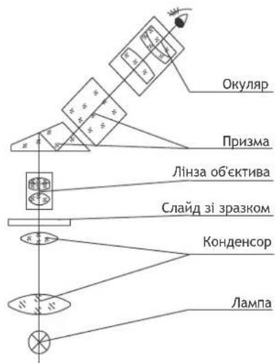 Levenhuk D870T - Принцип роботи - 1