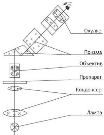 graph TD A["Lampa"] --> B["Конденсор"] B --> C["Препарат"] C --> D["Объектив"] D --> E["Призма"] E --> F["Окуляр"]