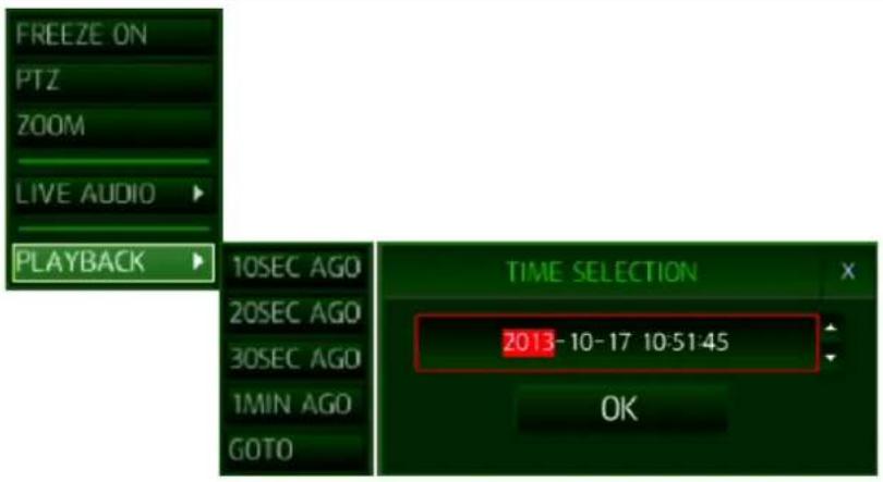 FREEZE ON PTZ ZOOM LIVE AUDIO PLAYBACK 10SEC AGO 20SEC AGO 30SEC AGO 1MIN AGO GOTO TIME SELECTION 2013-10-17 10:51:45 OK