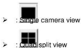: Single camera view : Quad split view