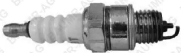 Baumr-AG BVX250 - Checking the Spark Plug - 1