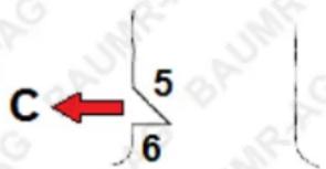 Baumr-AG SX25 - Basic Tree Felling - 3