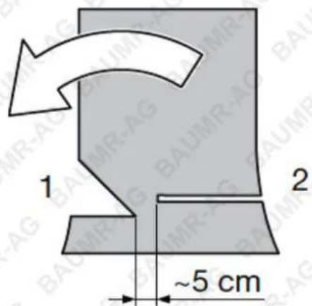 Baumr-AG SW5 - Before felling a tree, make sure that: - 1