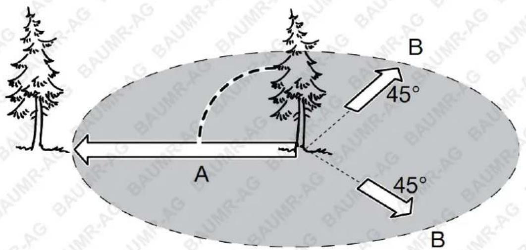 Baumr-AG SW5 - Felling a Tree - 2