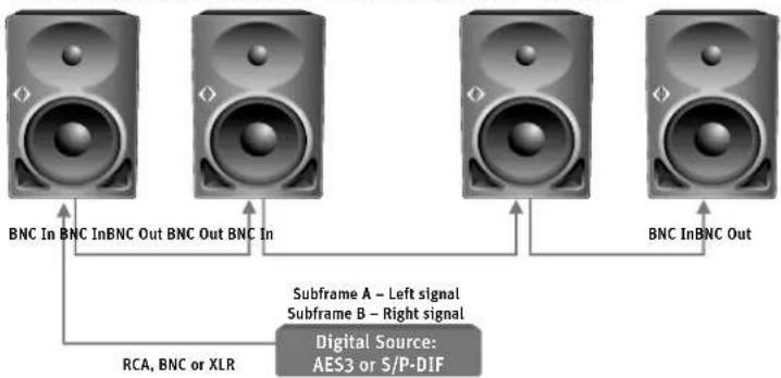 NEUMANN KH 120 D - Connecting multiple KH 120 D loudspeakers together - 1