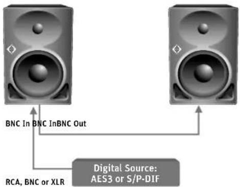 NEUMANN KH 120 D - Connecting digital signals to the KH 120 D - 3
