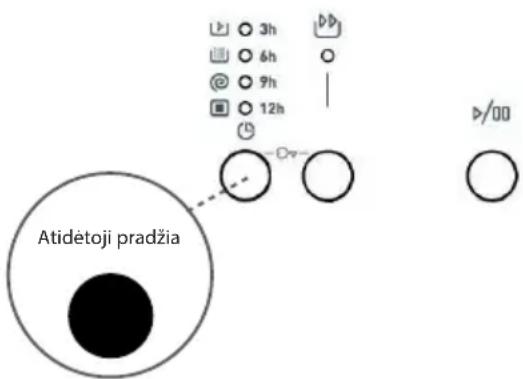 Atidėtoji pradžia 3h 6h 9h 12h -/00