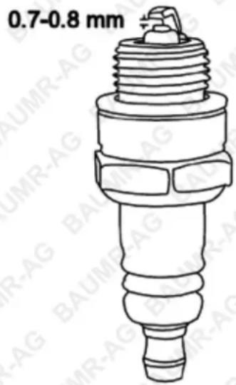 Baumr-AG 840SX - Air Filter Servicing - 1