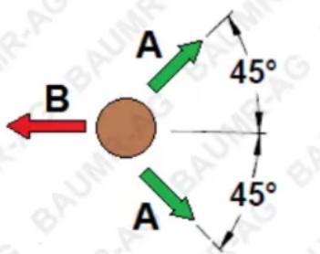 Baumr-AG SX62 - Basic Tree Felling - 1