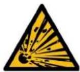 Endress ESE 2300 i - DANGER! - 1