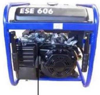 Endress ESE 606 DHS-GT - WARNING! - 4