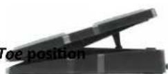 GFI System Rossie - Expression / Ramping Setup - 4