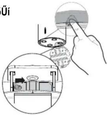 Üi