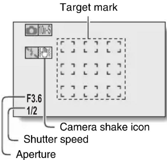 SANYO Xacti VPC-CG21GX - What is the camera focusing on? - 1