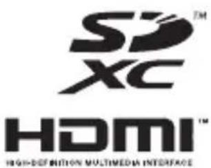 SANYO Xacti VPC-CG21GX - 1