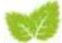 Hecht GG 2500 - NEW - 1