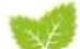 Hecht GG 2500 - HECHT 1040 - 3