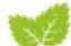 Hecht GG 2500 - HECHT 5041 - 2