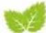 Hecht GG 2500 - HECHT 1435 - 17