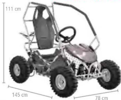 Hecht GG 2500 - ACCU AND PETROL BUGGYS - 27