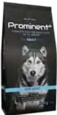 Hecht GG 2500 - Prominent dog Senior - 1