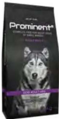 Hecht GG 2500 - Prominent dog Active - 4